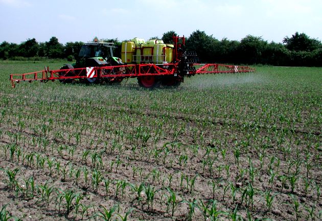Pflanzenschutzmaßnahme Mais